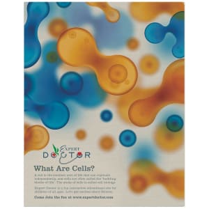 Custom 11" x 14" Gloss Silver ChromaLuxe Aluminum Photo Panel